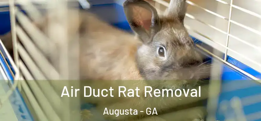  Air Duct Rat Removal Augusta - GA