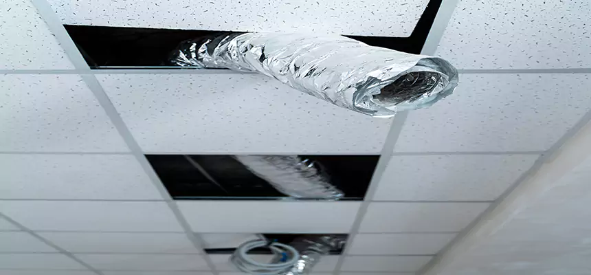 Our Air Duct Pet Hair Removal Services in Augusta, GA