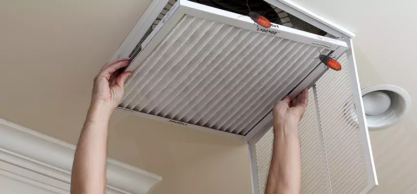 Our Insect Removal from Air Ducts Services in Augusta, GA