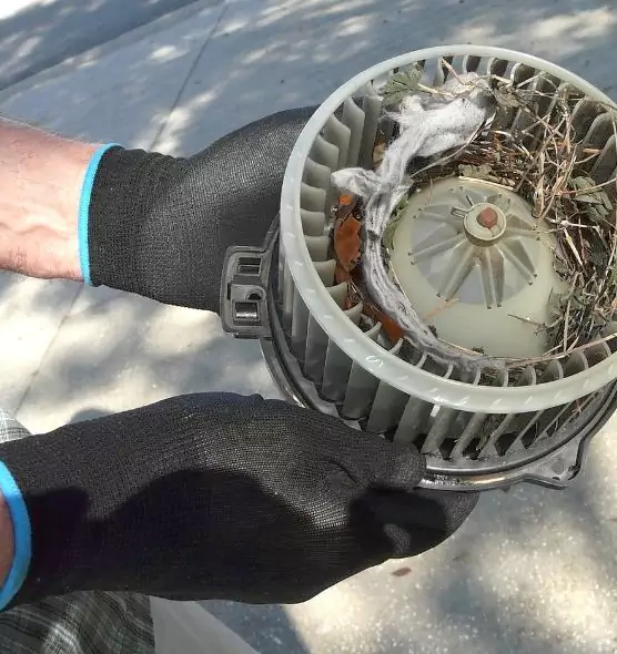 About Air Duct Mice Removal in Augusta, GA