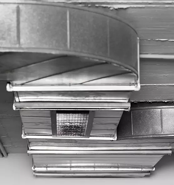 Professional Air Duct Pet Hair Removal in Augusta, GA