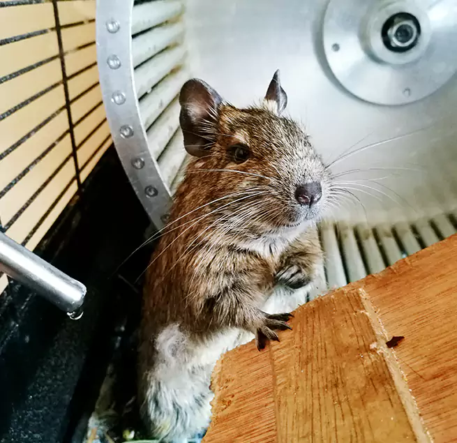 Why Homeowners & Businesses Trust Us Augusta, GA