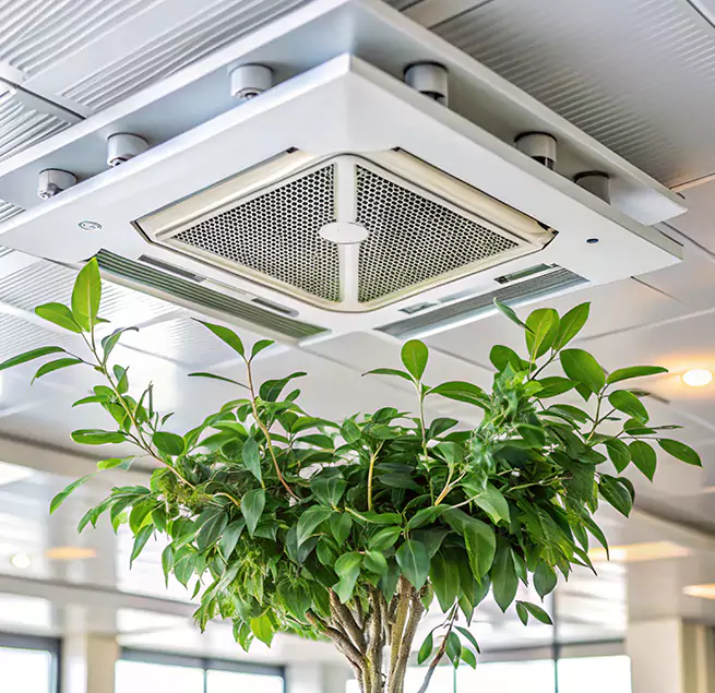 Why Homeowners & Businesses Trust Us in Augusta, GA?