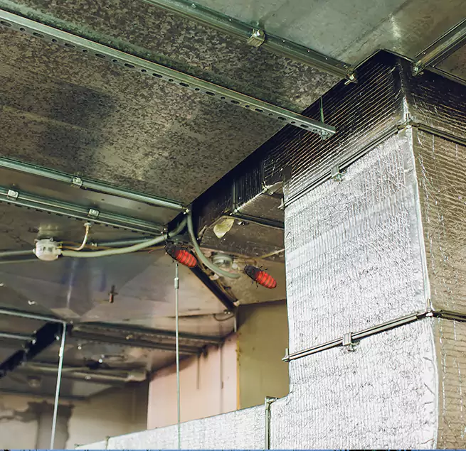 Why Homeowners & Businesses Trust Us Augusta, GA?