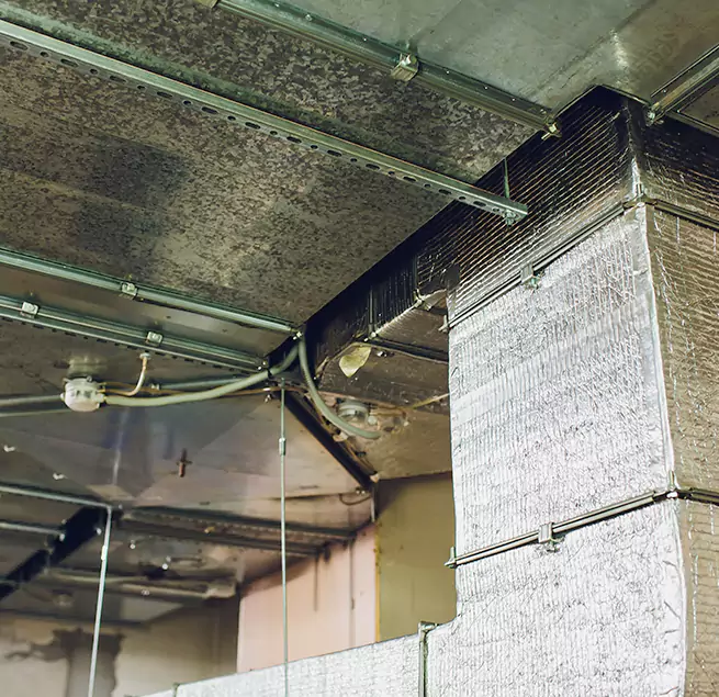 Why Homeowners & Businesses Trust Us in Augusta, GA?